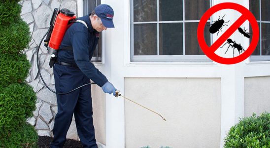 Mamak Karınca İlaçlama böcek ilaçlama ve haşere kontrolü — ilaclama-tr.com